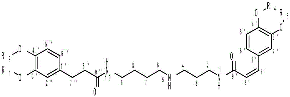 Dicaffeoyl-spermidine cyclization derivative glycoside and application thereof