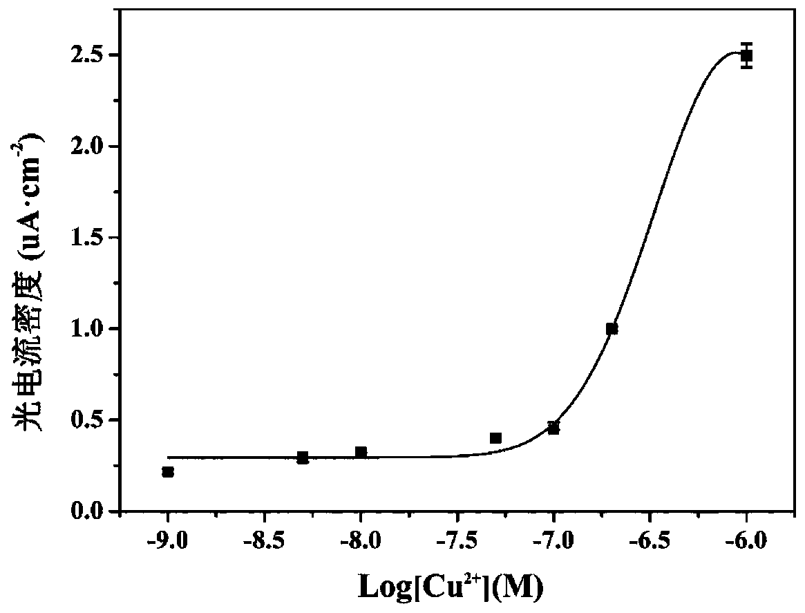 Trace copper ion photoelectrochemistry detection method based on three-dimensional needle point type carbon nitride