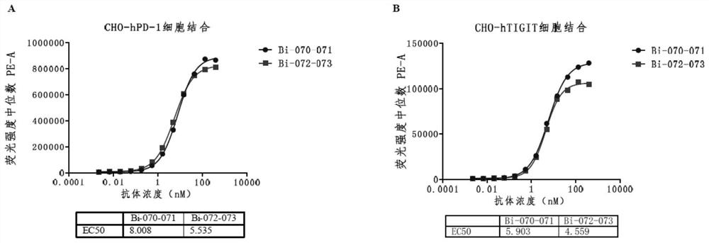 Platform for constructing multispecific antibody