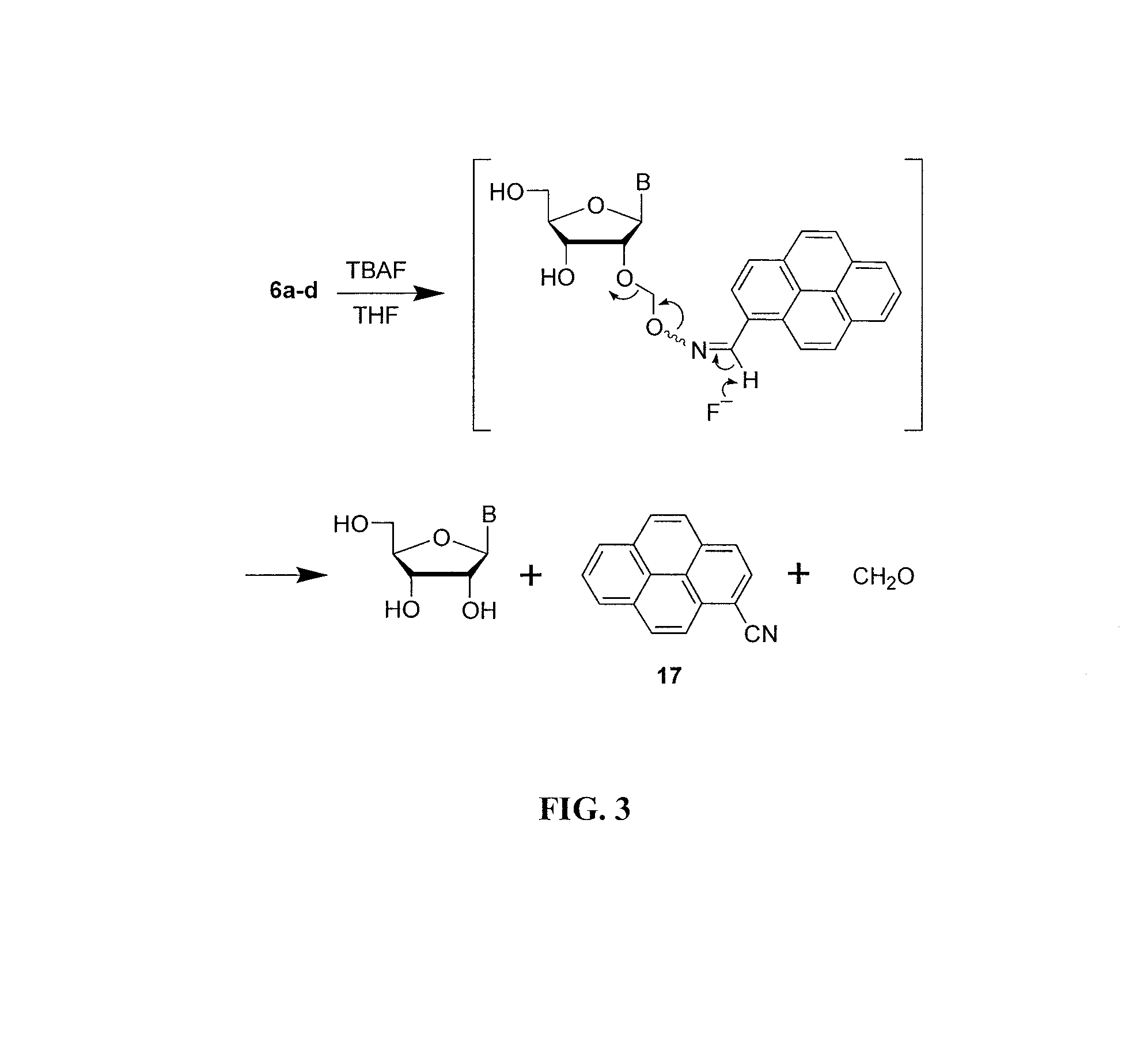 2'-o-aminooxymethyl nucleoside derivatives for use in the synthesis and modification of nucleosides, nucleotides and oligonucleotides