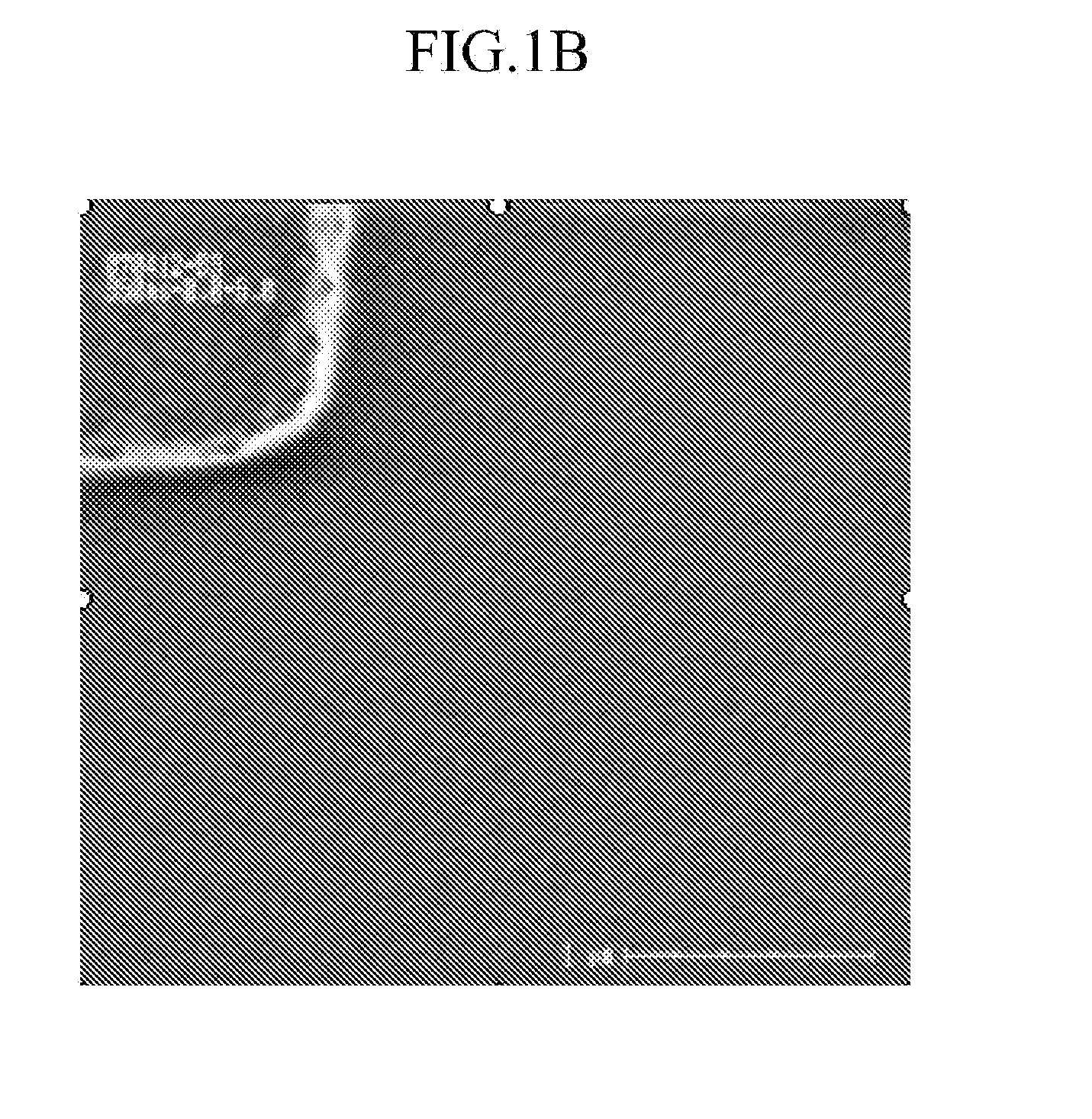 Photosensitive Resin Composition for Color Filter and Color Filter Made Using the Same