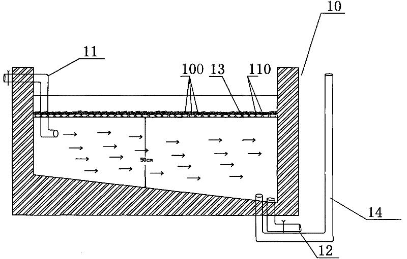 Subsurface-flow water supply culture method and device of Babylonia