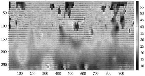 Improved PIV-based horizontal oil-water two-phase flow velocity measurement method