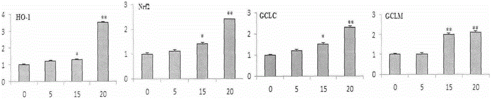 Use of tanshinone IIA derivatives in preparation of drug for protecting endothelial cells