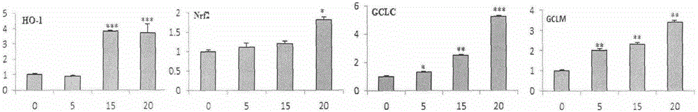 Use of tanshinone IIA derivatives in preparation of drug for protecting endothelial cells