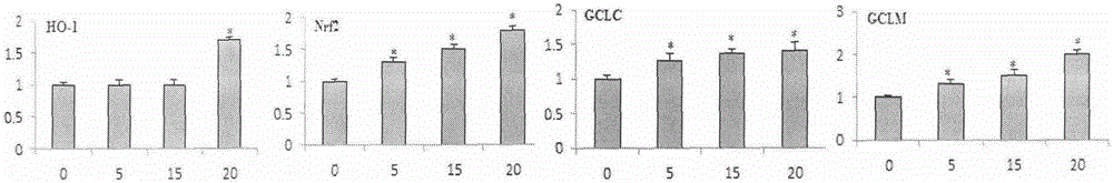 Use of tanshinone IIA derivatives in preparation of drug for protecting endothelial cells