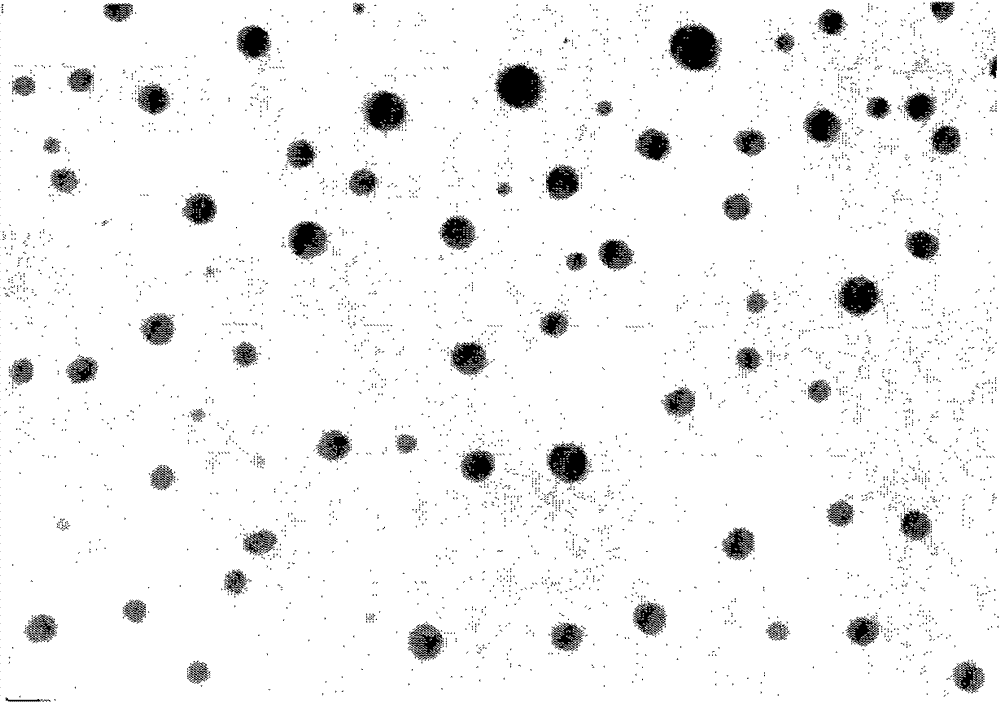 Asiatic acid self-microemulsifying drug delivery system and its preparation method