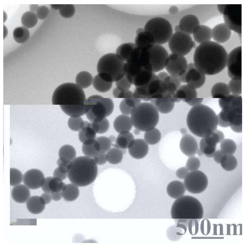 An organic polymer sulfur/nanocarbon-based composite material and its application in lithium-sulfur batteries