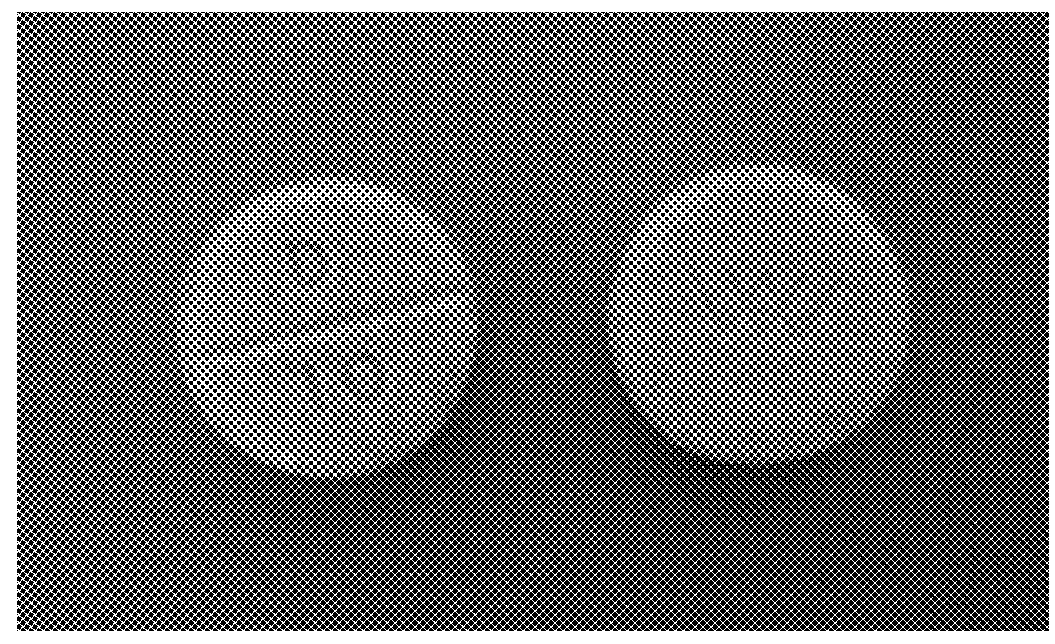 Uniquely identifiable drug dosage form units
