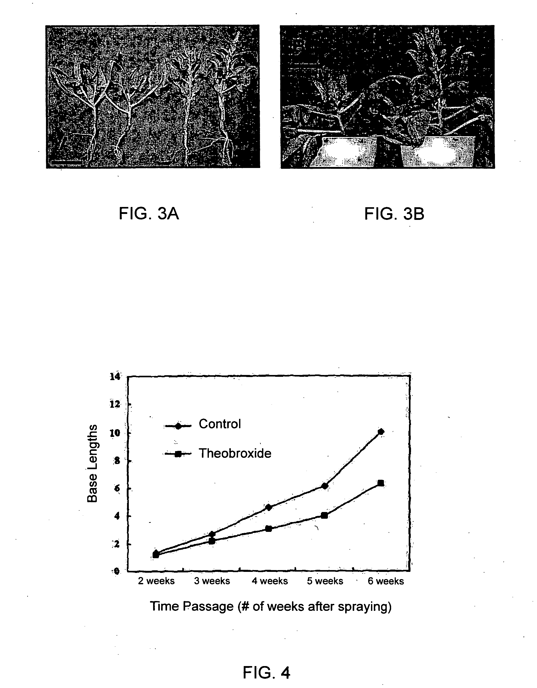 Agent for Inhibiting Bolting Induction and/or Floral-Bud Differentiation in Plants