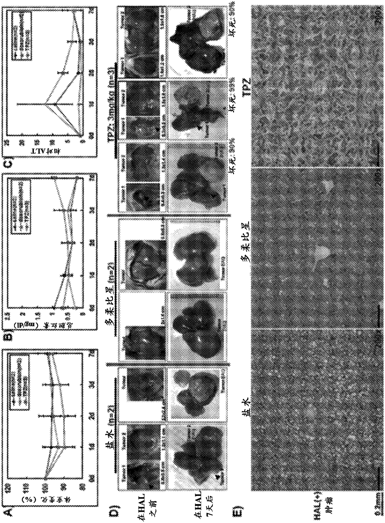 Compositions and methods for immune-mediated cancer therapy