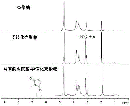 A nasal immune carrier based on antigen covalently bound to chitosan nanoparticles