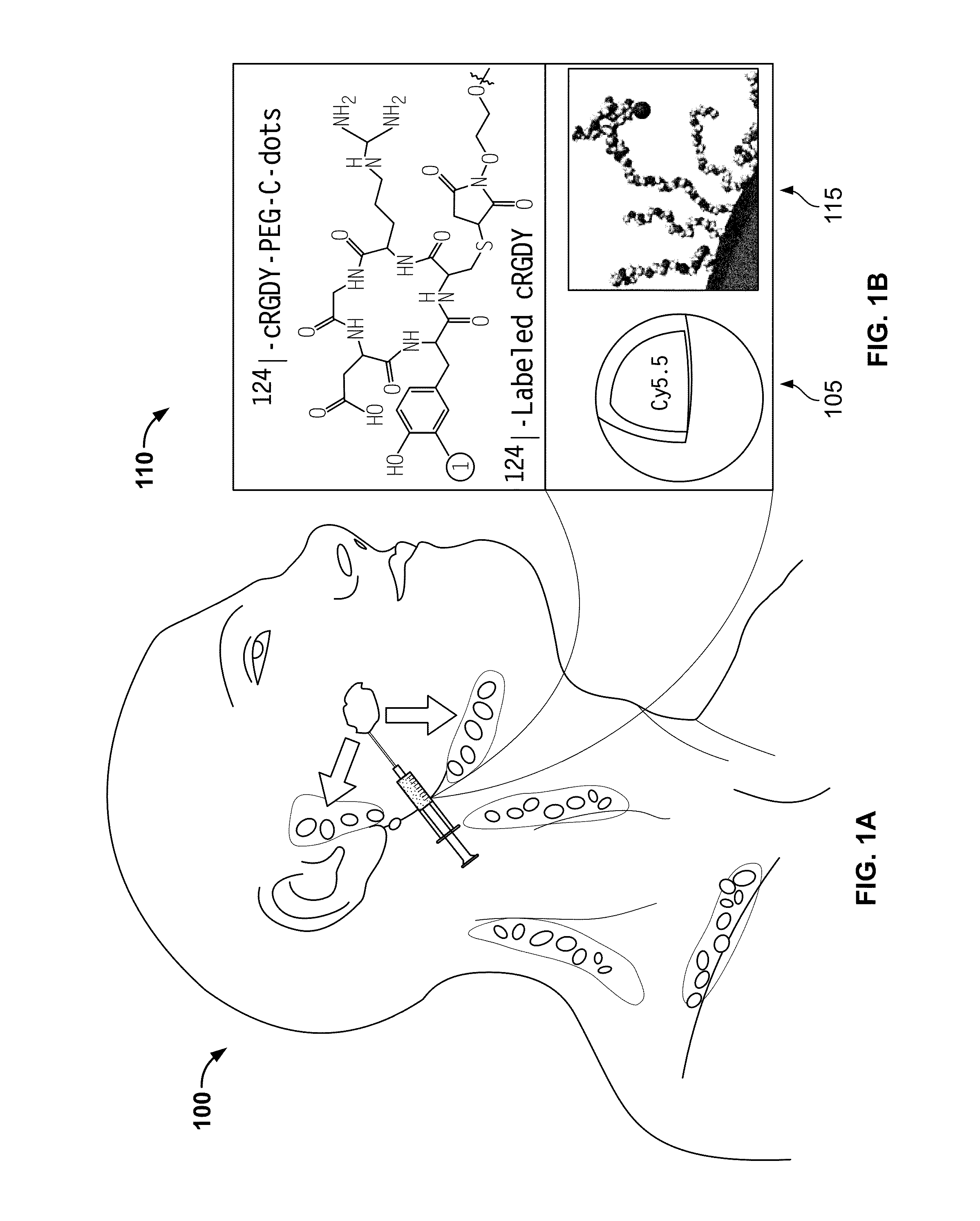 Systems, methods, and apparatus for multichannel imaging of fluorescent sources in real time
