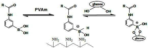 A preparation method of fast-response glucose-sensitive hydrogel