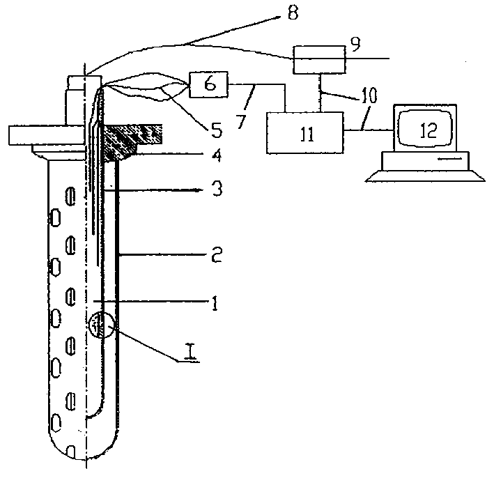 Core level monitoring device for reactor