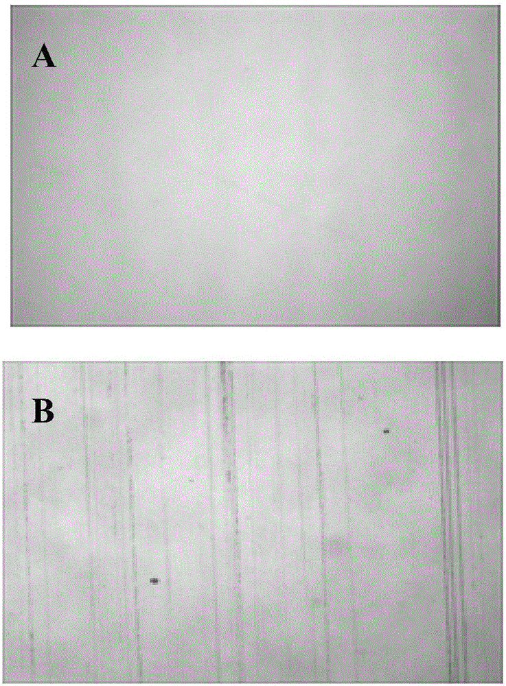 UV photocureable coating for explosion-proof membrane hardening coating of vehicle-mounted touch screen and preparation