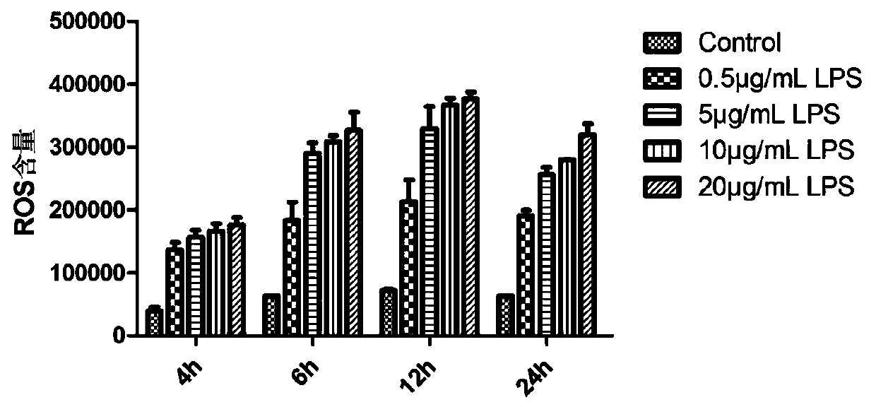 Application of lipopolysaccharide in establishing human gingival fibroblast stress aging model