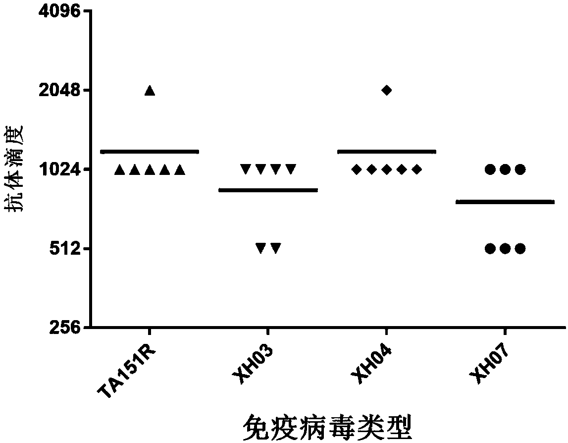 Coxsackie virus A10 domestication strain containing virus composition and application of virus composition