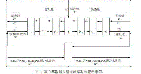 Method for separating naproxen enantiomers by adopting centrifugal extractor and carrying out multi-stage counter current extraction