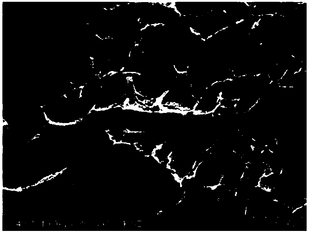 Polyvinyl alcohol hydrogel as well as preparation method and application thereof