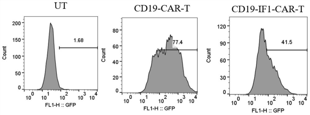 CD19-targeting CAR-T cell of over-expression ATP5IF1 gene and application of CD19-targeting CAR-T cell