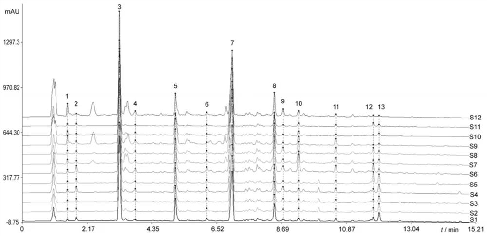 Detection method of strong loquat syrup fingerprint spectrum and fingerprint spectrum thereof