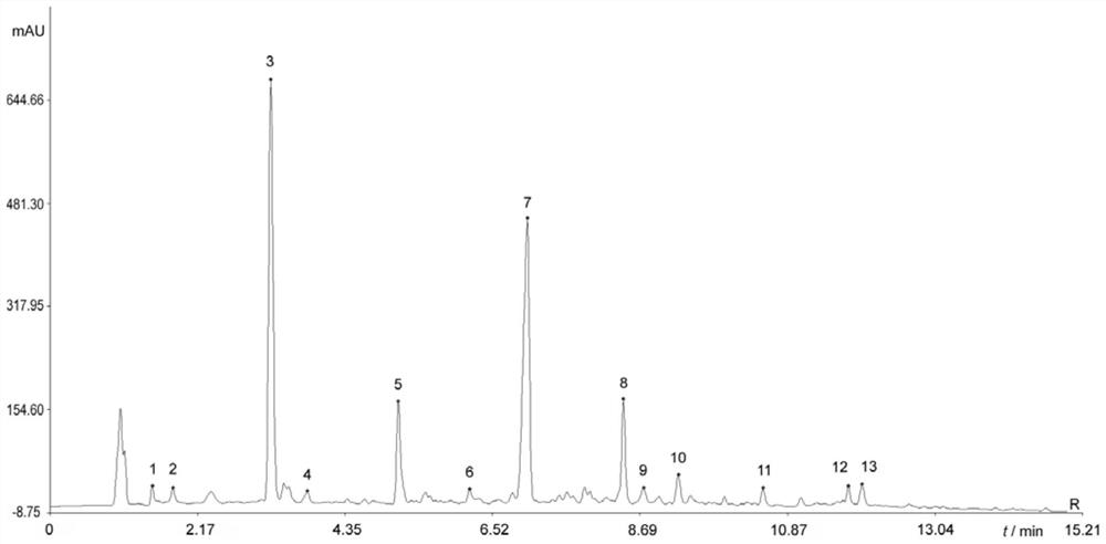 Detection method of strong loquat syrup fingerprint spectrum and fingerprint spectrum thereof