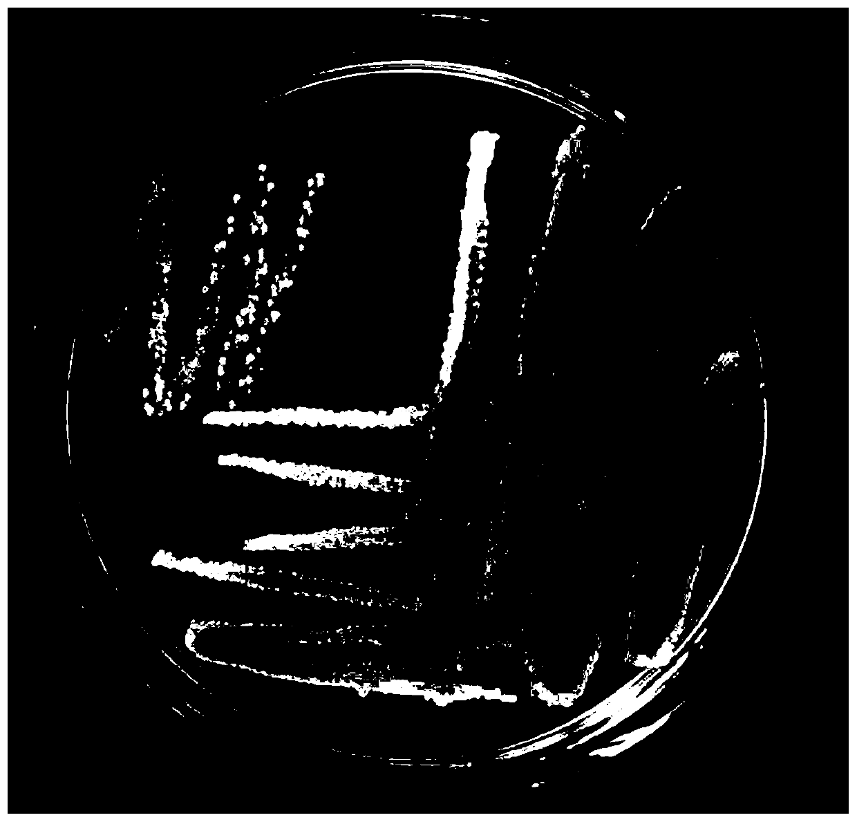 Bacillus strain for degrading aflatoxin b1 and its screening and application