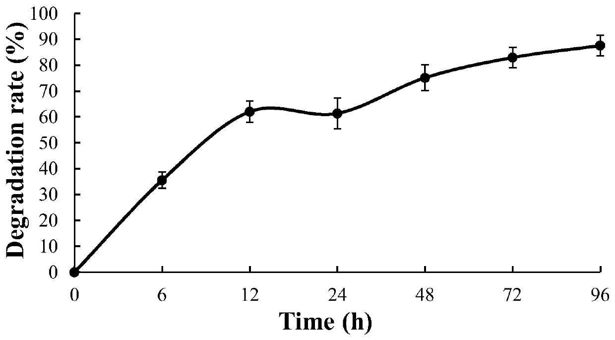 Bacillus strain for degrading aflatoxin b1 and its screening and application