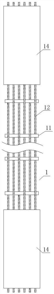 Sample preparation method for layered anchoring of high-strength steel wire cloth end part