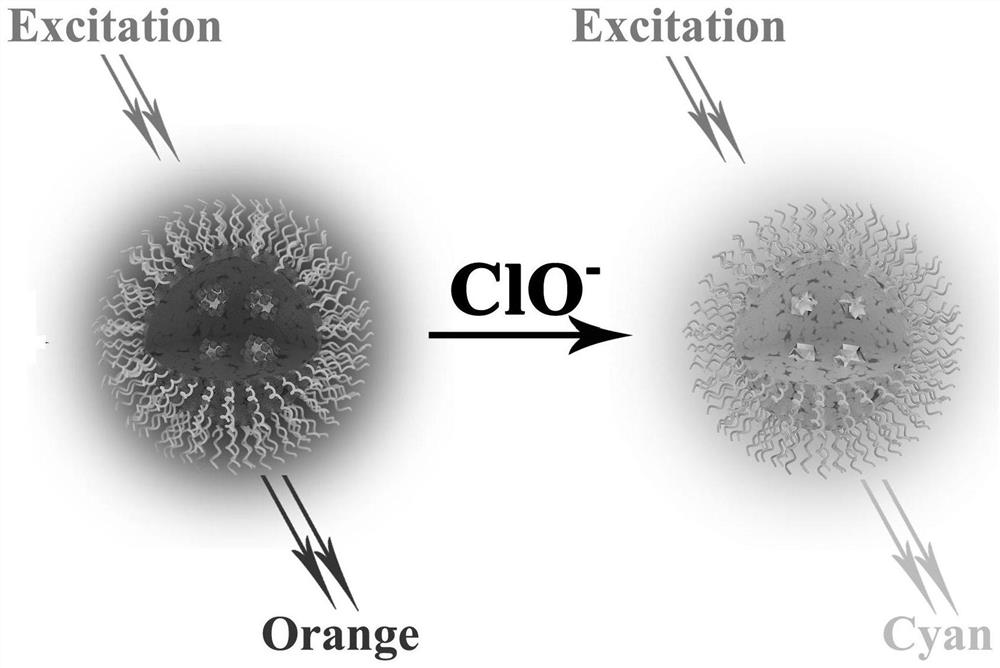 Ratiometric fluorescent nanoprobe for visual detection of hypochlorite and its preparation and application