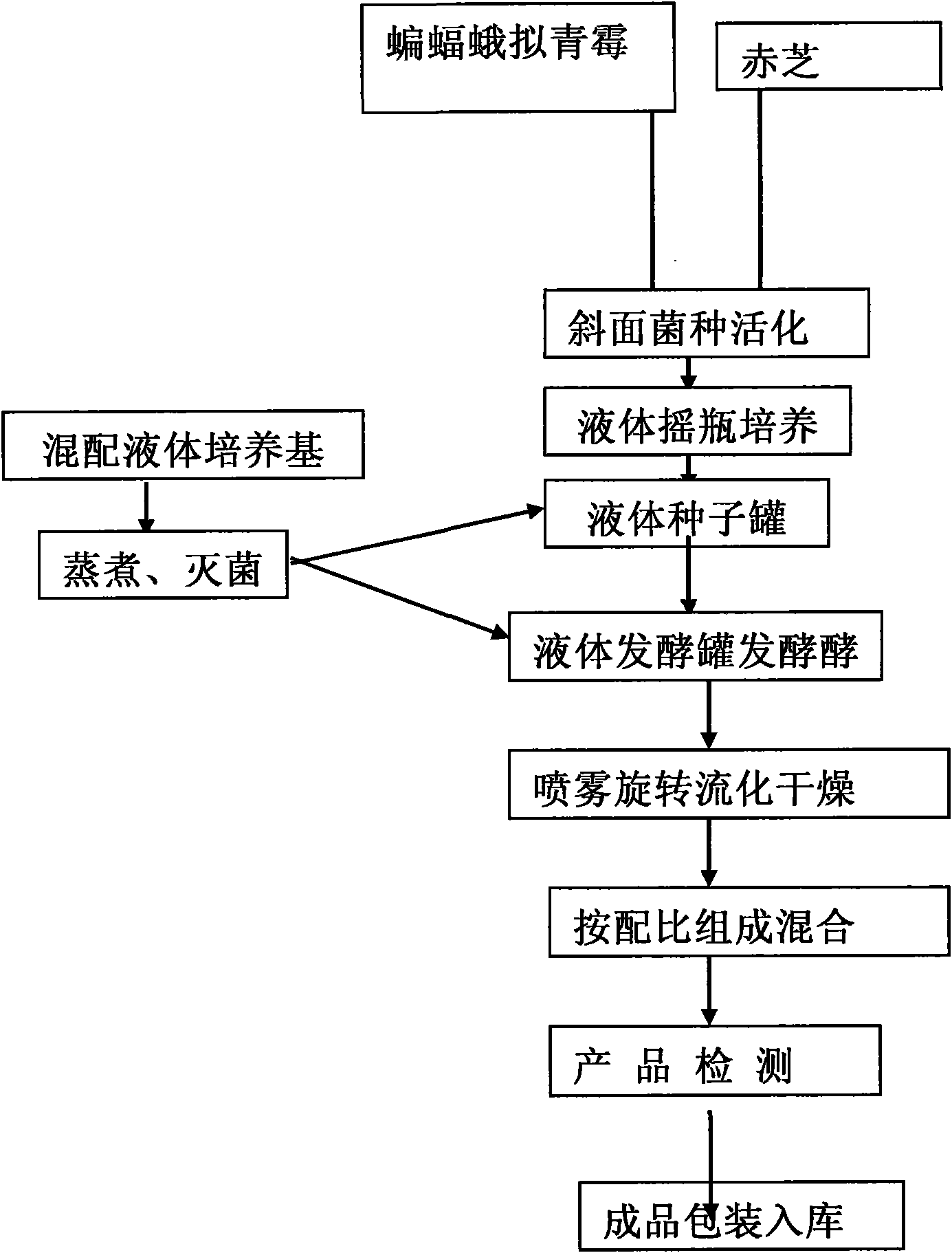 Health care food containing fermentation cordyceps and lucid ganoderma and preparation method thereof