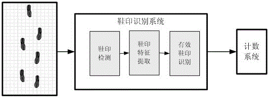 Entrance and exit people counting method and device for open scenes