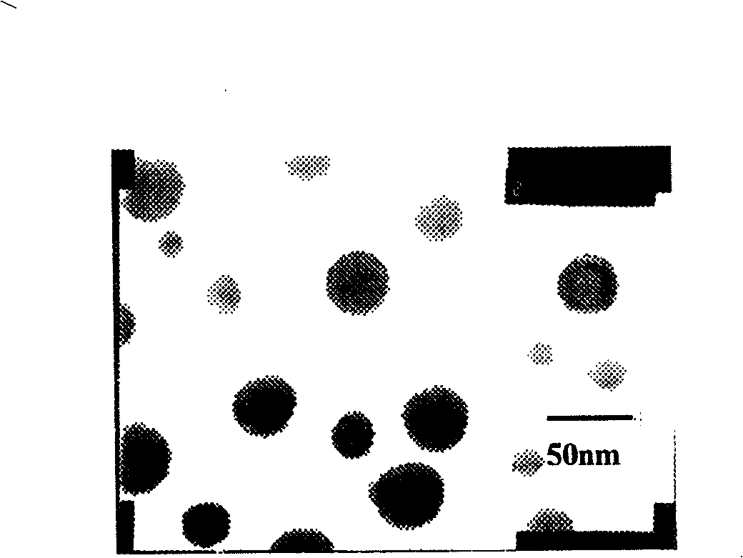 Chitin nanometer granule for programmable releasing various kinds of medicine, and its prepn. method