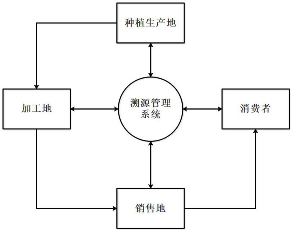 Cocoa bean traceability management system based on block chain and management method thereof