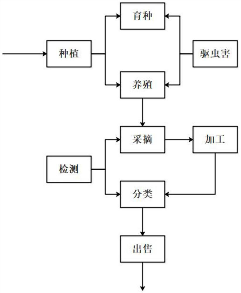 Cocoa bean traceability management system based on block chain and management method thereof