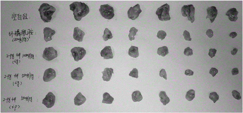 Application of 3,5-(E)-diarylmethylene-N-cyclopropyl piperidin-4-one compounds as Hsp90 depressant