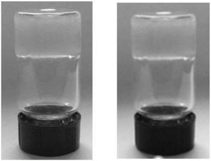 Rhein/chitosan hydrogel as well as preparation method and application thereof