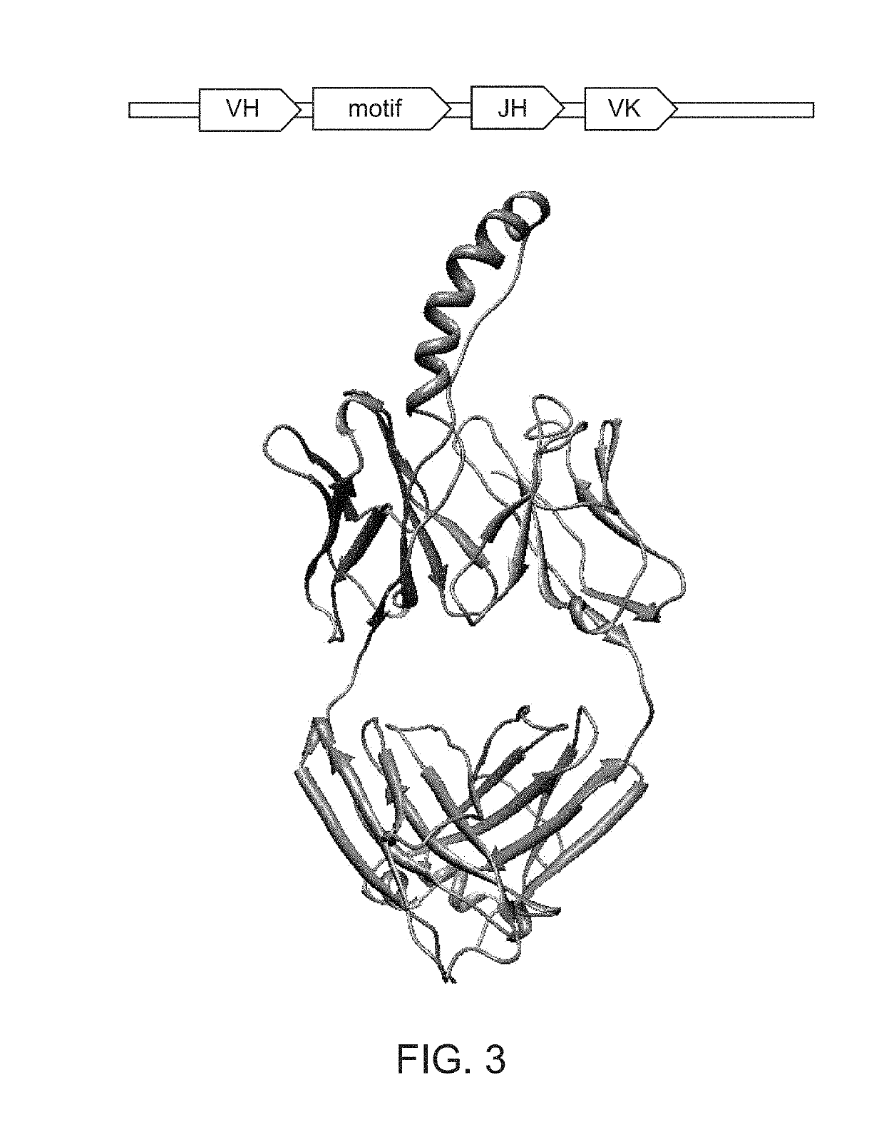 Gpcr binding proteins and synthesis thereof