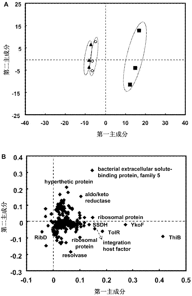 Method for detecting intracellular protein changes in process of acting on gluconobacter oxydans by glutathione