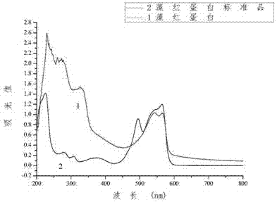 Extracting and purifying method for nostoc sphaeroids kutzing phycobiliprotein and purified phycoerythrin
