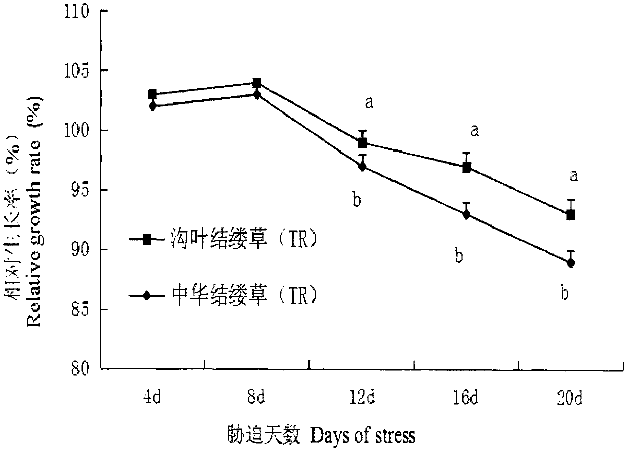 Application of rhamnolipid to alleviation of plant salt stress