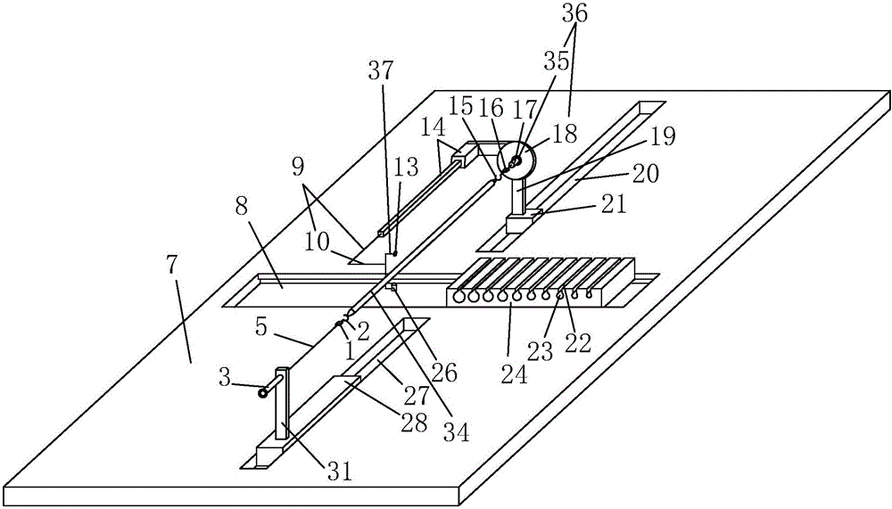 Transplantation tendon weaving device for ligament reconstruction and collection