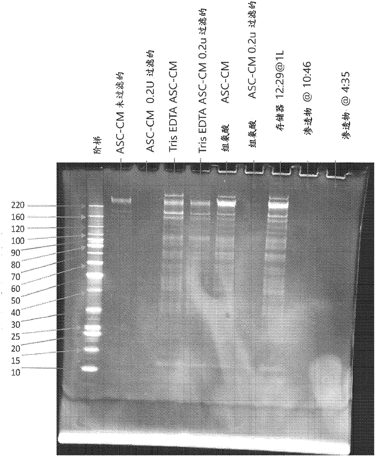 Adipose tissue derived mesenchymal stromal cell conditioned media and methods of making and using the same