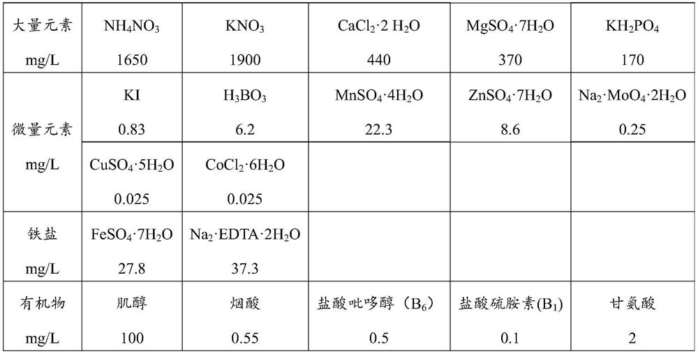 Culture system for in-vitro culture of hedychium 'Woodlanders' and application of culture system