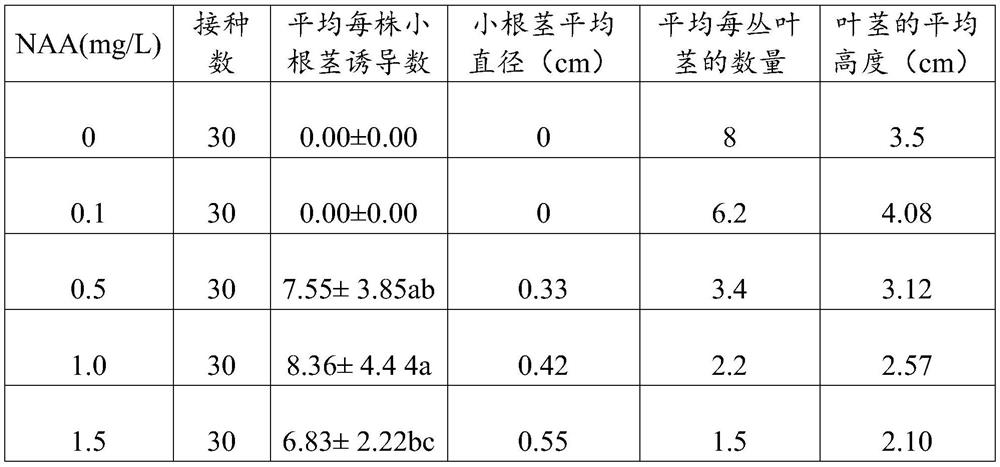 Culture system for in-vitro culture of hedychium 'Woodlanders' and application of culture system