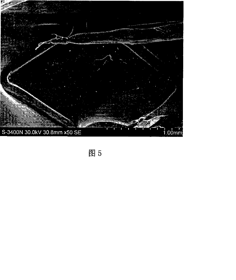 Transgenic cell overlapped vascular inner rack and manufacture method thereof