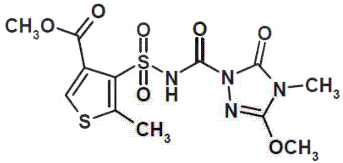 Weeding composition containing thiencarbazone-methyl