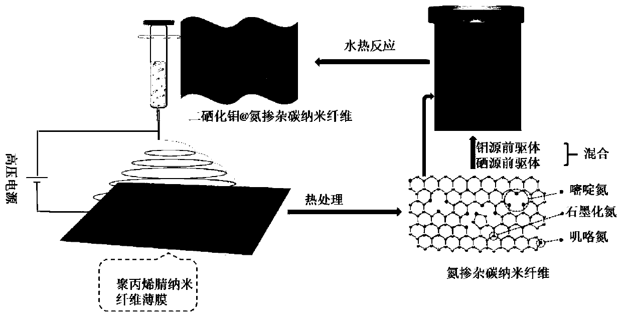 Elm-shaped molybdenum diselenide@nitrogen-doped carbon nanofiber and preparation method and application thereof