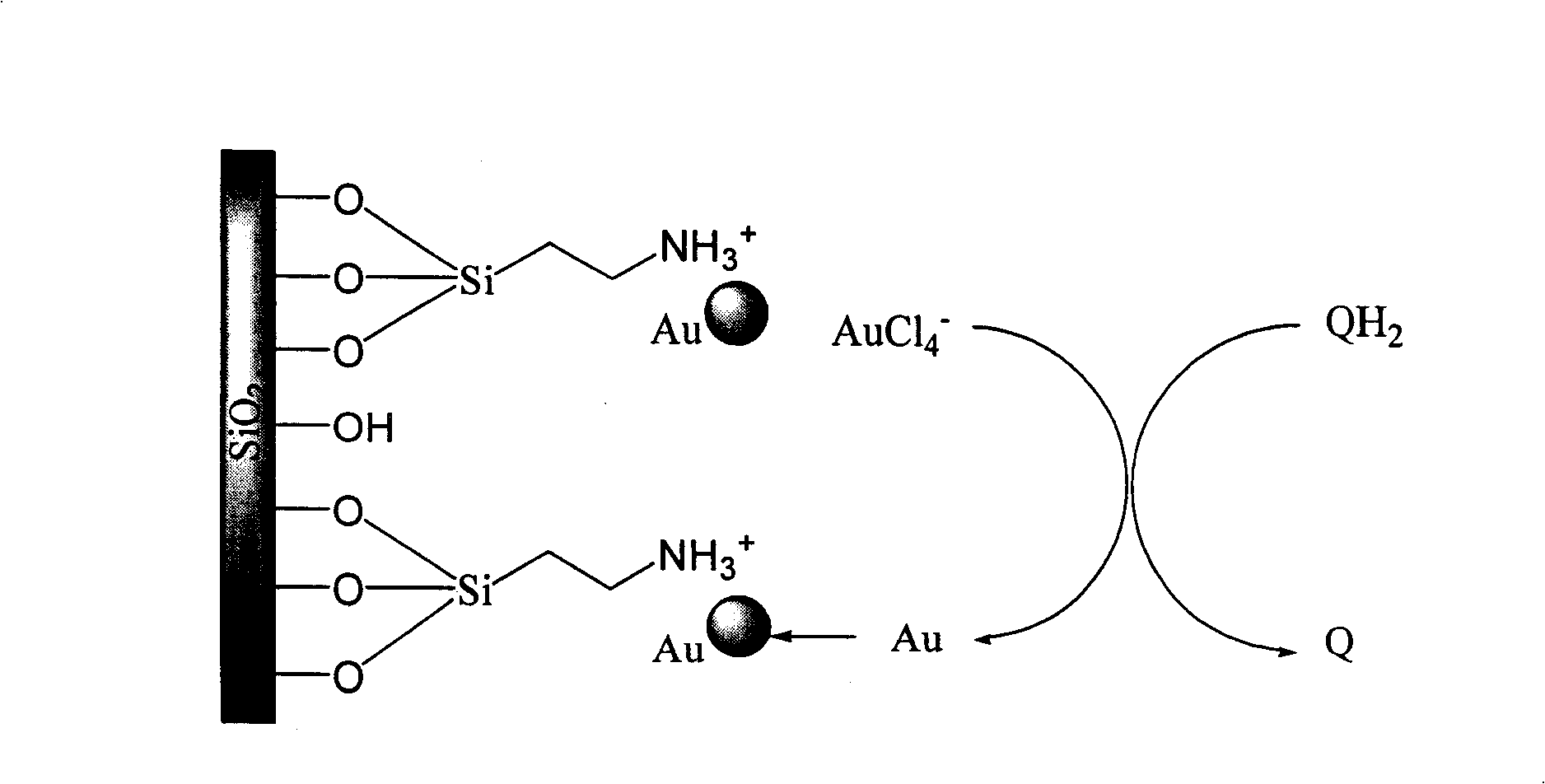 Nano sensor for detecting phenolic substance and its detecting method